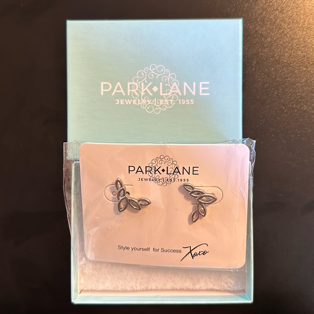 Park Lane - Crepe earrings in silver